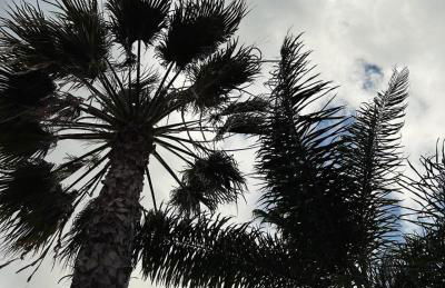 Villa Azzurra Fronte Mare - Foto 28