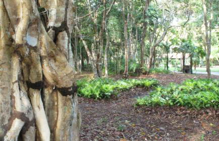 The Lion Cottage- Charming Studios - Foto 26