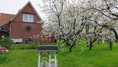 Knubberhaus Das Ferienhaus im Kirs - Photo 2