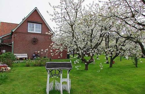 Knubberhaus Das Ferienhaus im Kirs - Photo 2