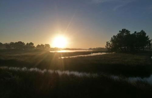 Maison nature proche Bassin d'Arcachon - Foto 27