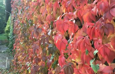 Gite spacieux et cosy à la campagne proche de Strasbourg - Foto 26