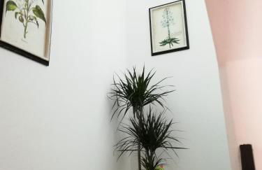 Arronches Villa - Photo 42