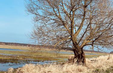 Tilia authentic home, butikowe apartamenty nad morzem - Photo 3