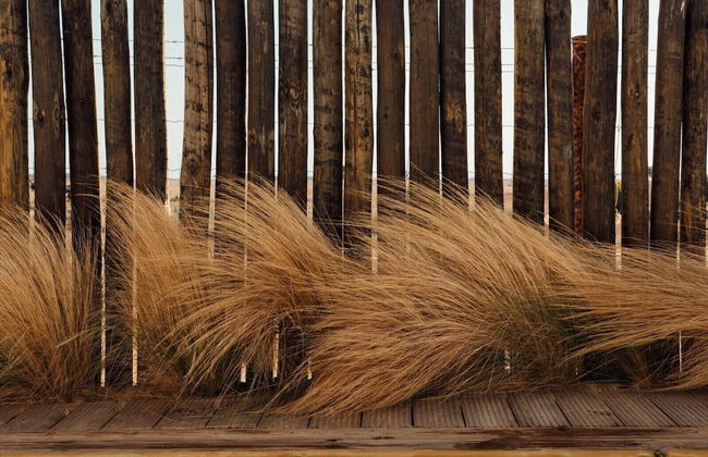 Casa Calmar - Photo 66