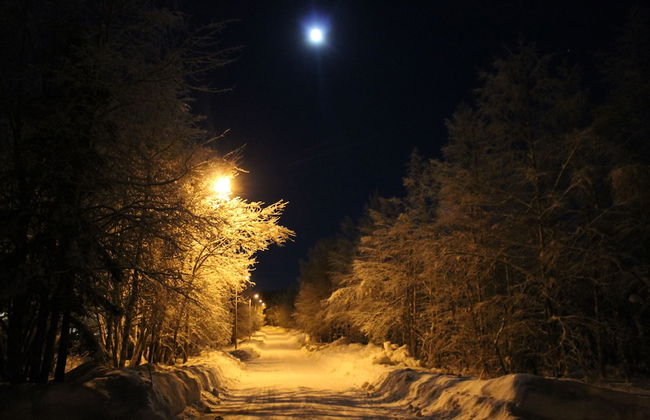 Villa Havula - Foto 29