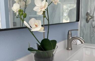 Temecula Rejuvenation - Foto 21