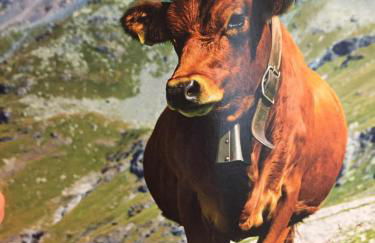 Chalet la poipia - Foto 42