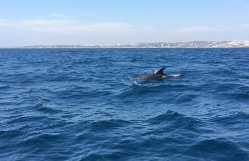 RS Apartamento - Foto 50