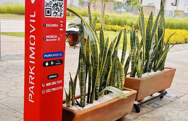 Casa Bugambilias - Foto 33