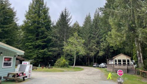 The Tall Trees Cabin - Foto 2