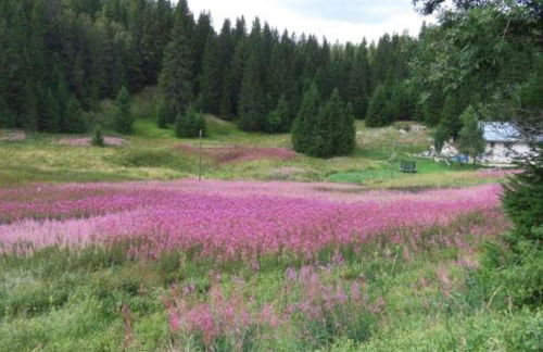 Studio tout confort - Foto 49