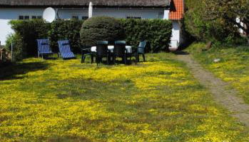 Ferienwohnungen Albrecht - Foto 5, Garden view