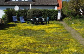 Ferienwohnungen Albrecht - Foto 5