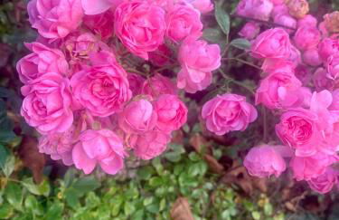 Dimore Granaio nr5 Wine & Countryside Experience, welcome box, free parking & pool - Photo 43