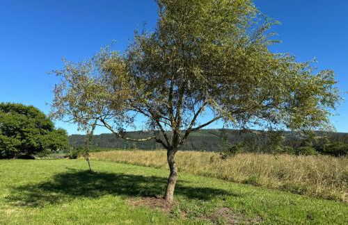 Casa Rural Vieitas de Arriba - Foto 21