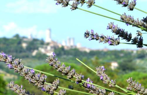 Podere Bellavista - Foto 93