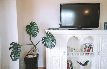 Green Ville - Foto 7