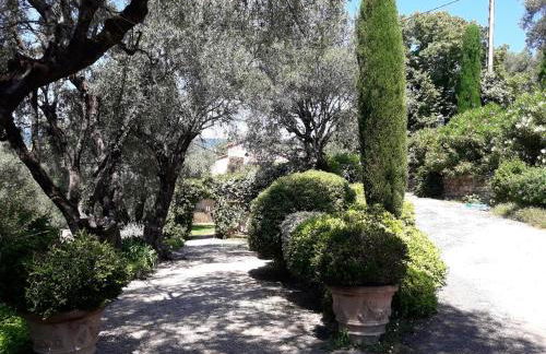 Apartment Picasso in large park with heated pool - Foto 30