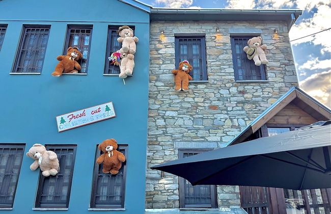 Rock Dandy La Maison de l' Ours - Nymfaio - Foto 75