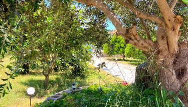 Lemon Loft - Photo 2, Garden