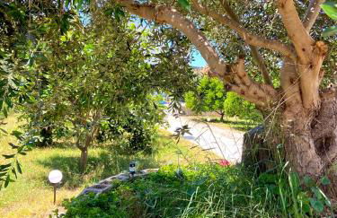 Lemon Loft - Photo 2