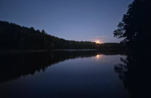 Leśna Ostoja - Foto 20