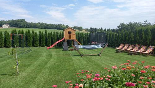 Ojcowski Las - Foto 4