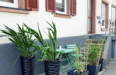 115qm Wohnparadies - Foto 33