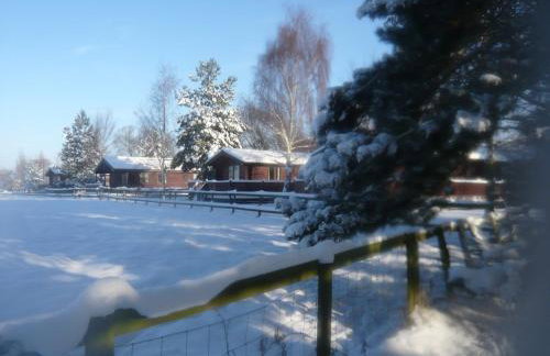Cottage in Brookland Near Romney Marsh - Photo 47