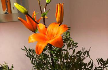 Denia Deluxe Chillout Experience - Foto 10