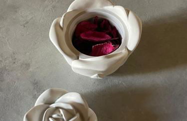 Dimora Rosaspina - Foto 45