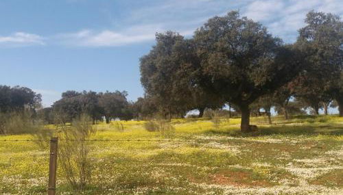 Apartamentos de Astroturismo la Cañada - Foto 4