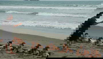 Learn surfing techniques