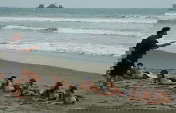 Surf Lesson at Machalilla National Park - Photo 2