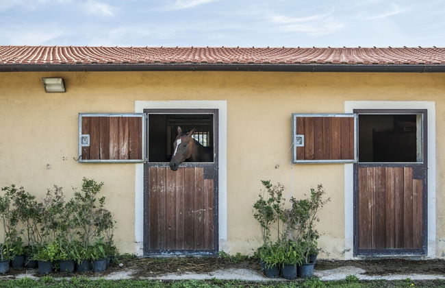 Tenuta Uccellina - Foto 59