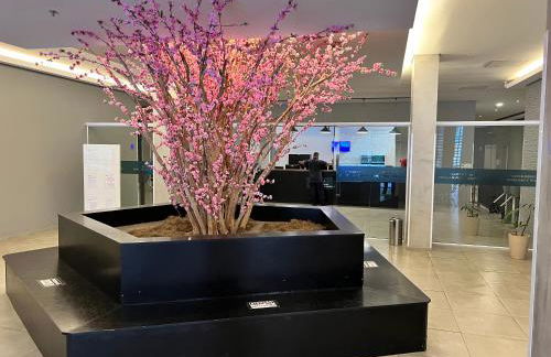 Flat Completo Granja Brasil - Foto 40