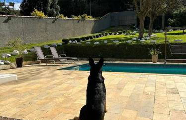 Chácara Paraiso Mion Pé na água - Foto 5