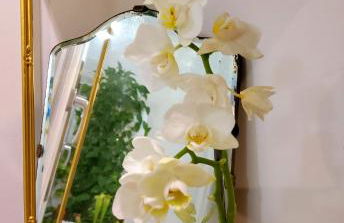 La Casa degli Specchi - Foto 43