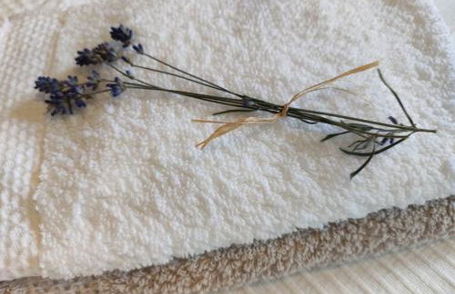 Chalet Flandesbach - Foto 20