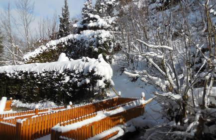 Ferienwohnung Ortsmitte-Willingen - Foto 65