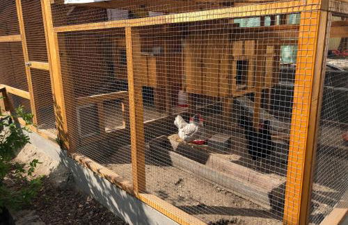 Ferienwohnung Diedrichs - Foto 8