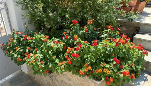 MantasHouse - Foto 2