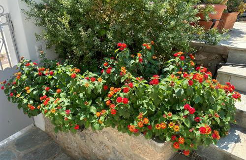 MantasHouse - Foto 2