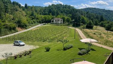 Casa La Cucca - Foto 2, Garden, Garden view