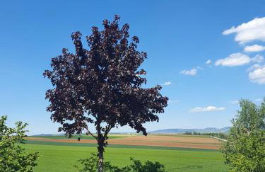 Ferienwohnung im Schwarzwaldhaus - Foto 12