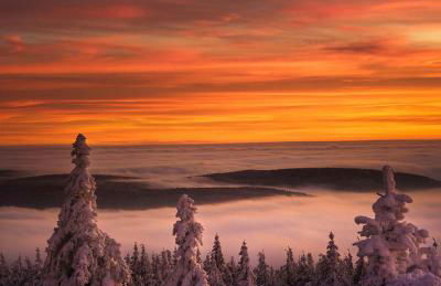 Ferienwohnung im Chaletstil Sonnenidyll 51 qm Wellness Fitness Sauna Bergrödelhof - Foto 1