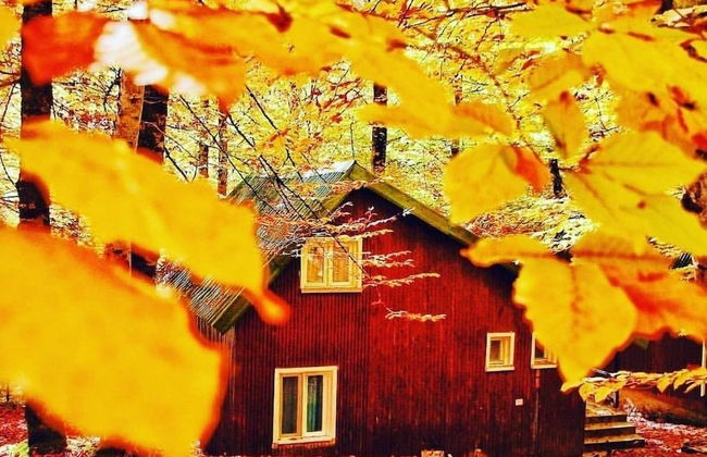 Habitat Mesire Evleri - Foto 25