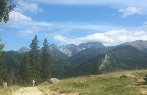 Apartamenty w Jurgowie Świstokówka - Foto 11