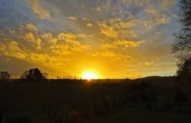 Dragon Orchard Retreat - Photo 25